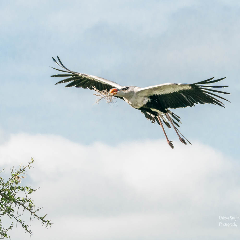 TanzaniaA9A0189820180128-1-7