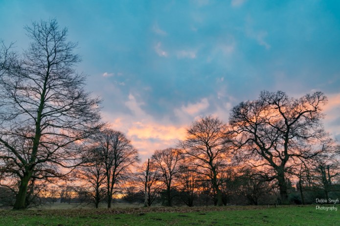 WarwickshireA730513920180211-1