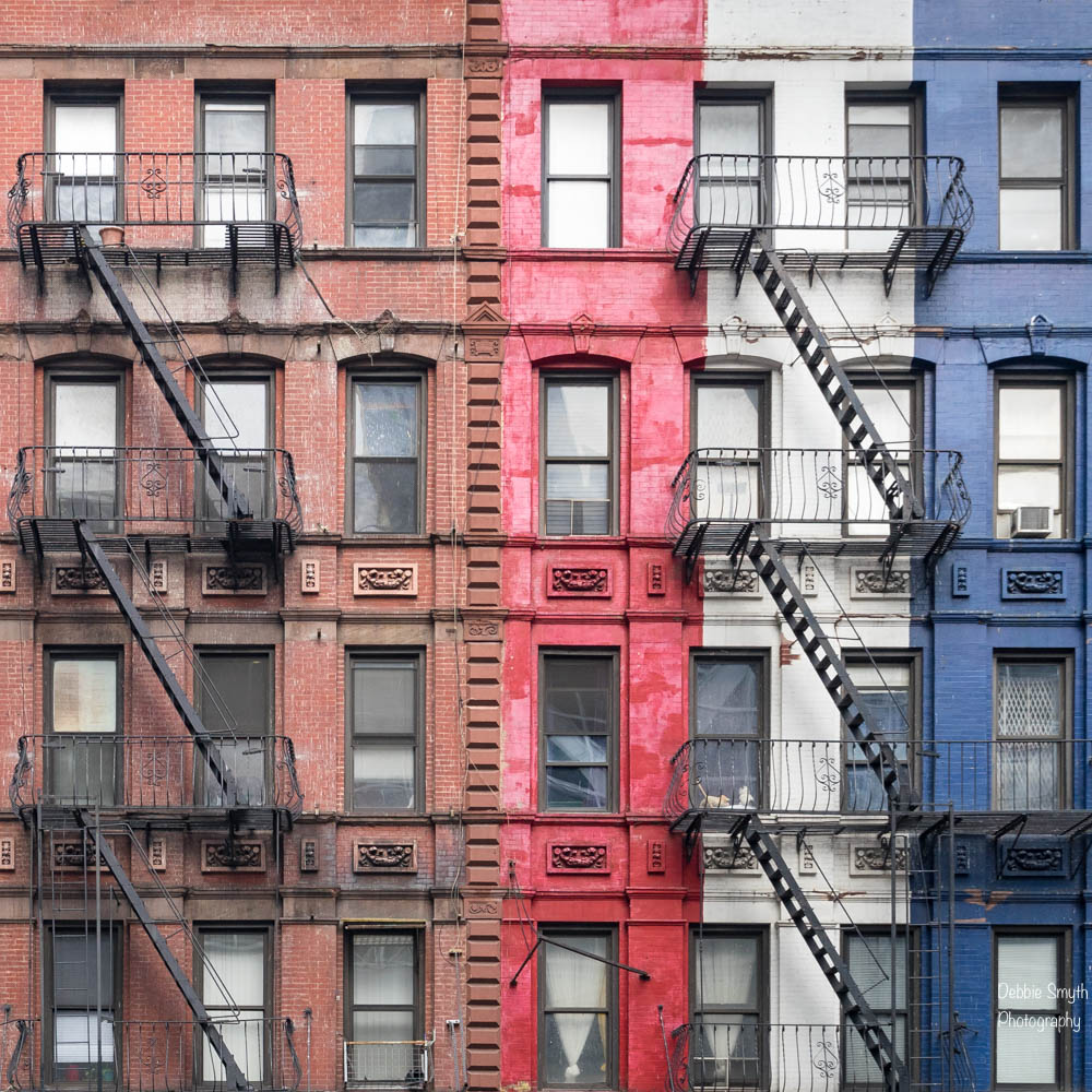 untitledDSC0749220170215-1-5