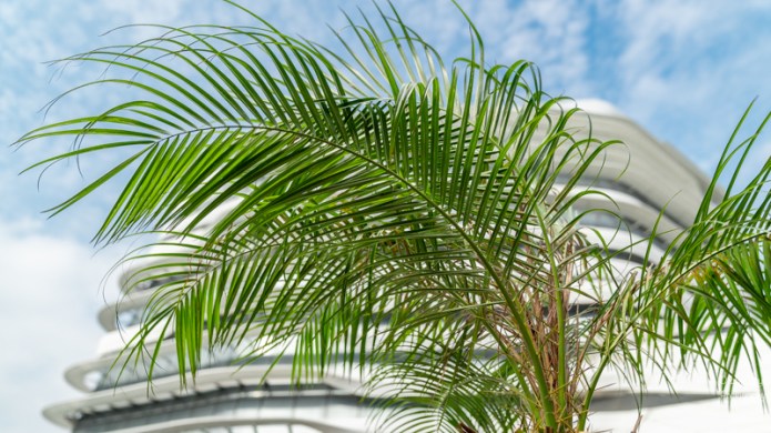 HongKongA9A0259220180211-1-2