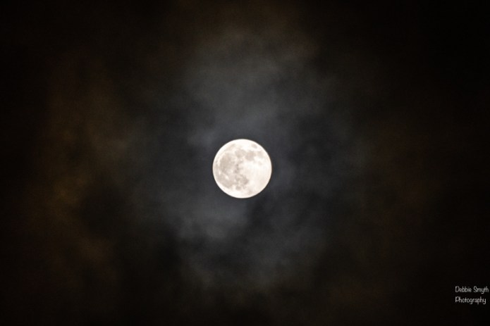 moona730537320180211-1