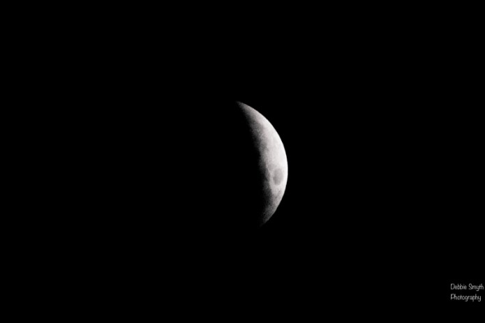 moona730538420180211-1-2