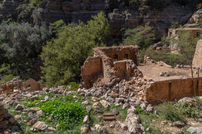 omana730375220180211-1