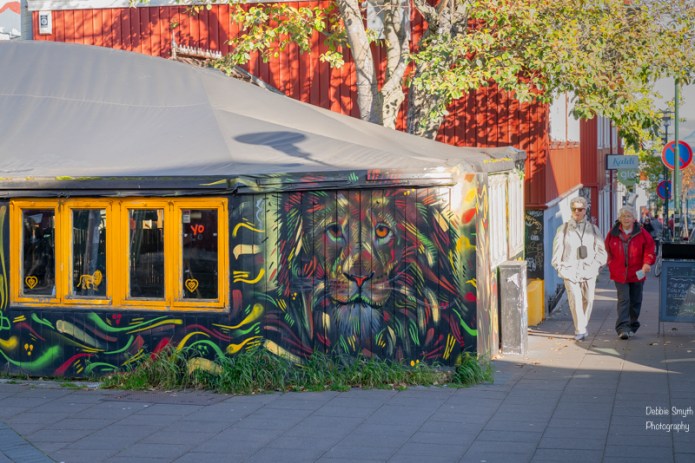 reykjavika730919220180211-1