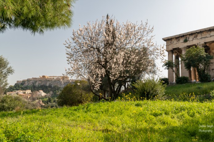 AthensA730648120180211-1