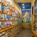 _DSC8294-1-2