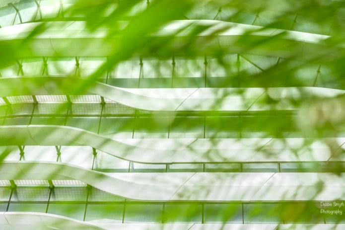 HongKongA9A0258720180211-1-2