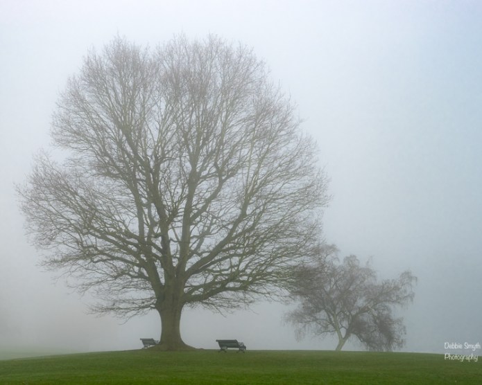 untitledDSC0548120161230-1-4