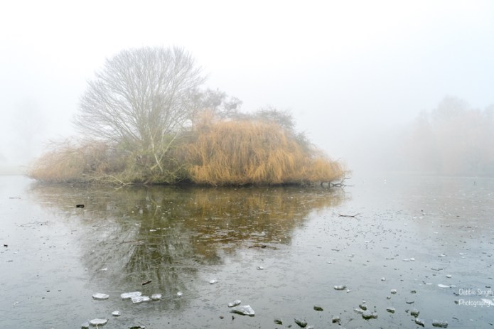 untitledDSC0548420161230-1