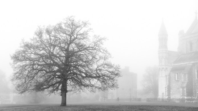 untitledDSC0548920161230-1-3