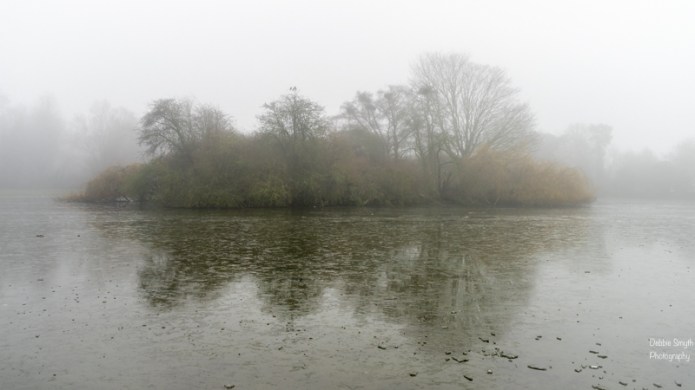 untitledDSC0549220161230-1