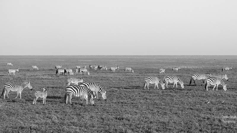 TanzaniaA9A0225820180129-1-6