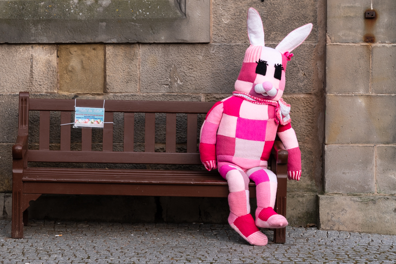 Rita the pink rabbit – Travel with Intent
