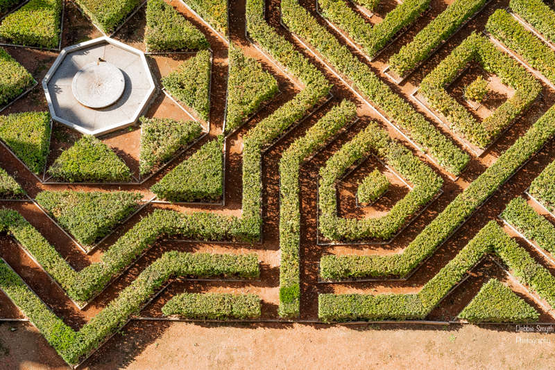 SegoviaA730180820180211-1-4