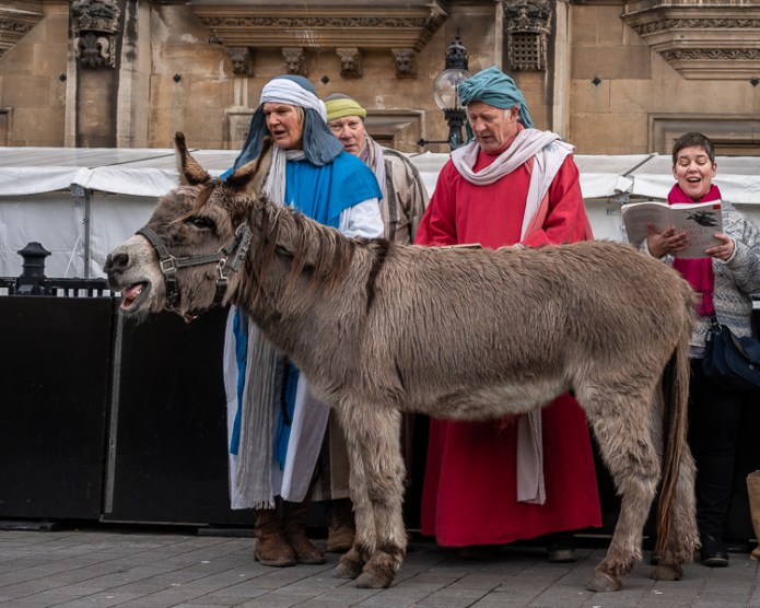 A braying donkey – Travel with Intent
