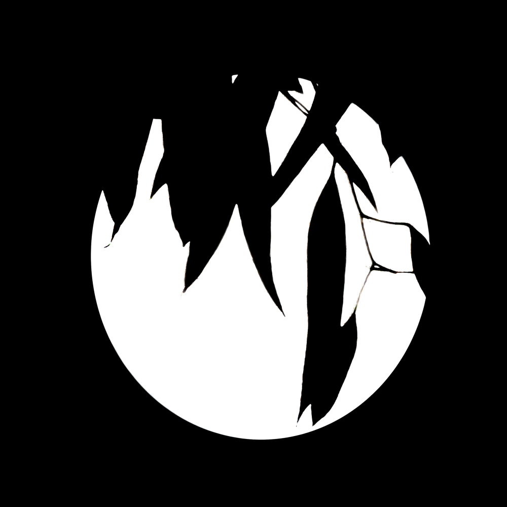 leaves silhouetted against the light of the moon