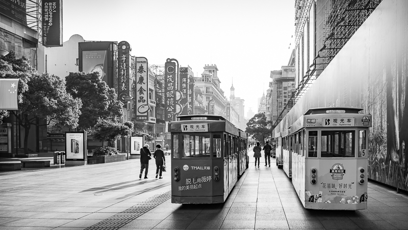 Two empty road trains in early morning light
