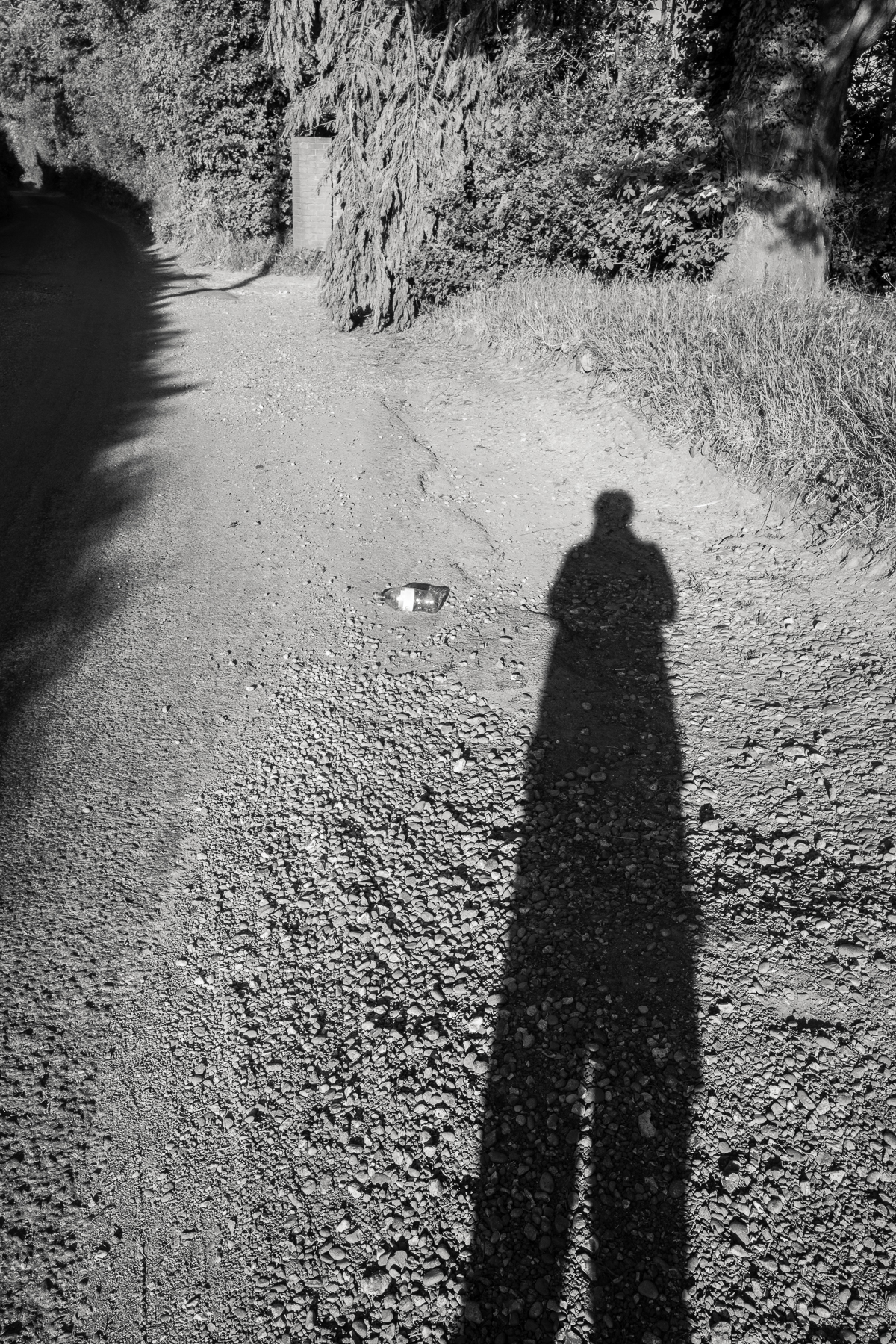 Long shadow in evening sun