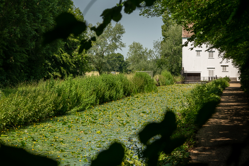 White watermill building on lily-covered water