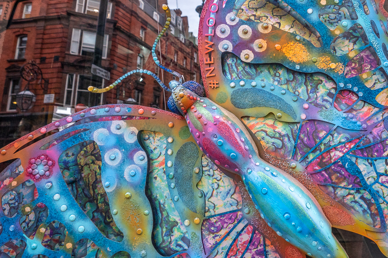 Butterfly in window of a restaurant and reflection behind