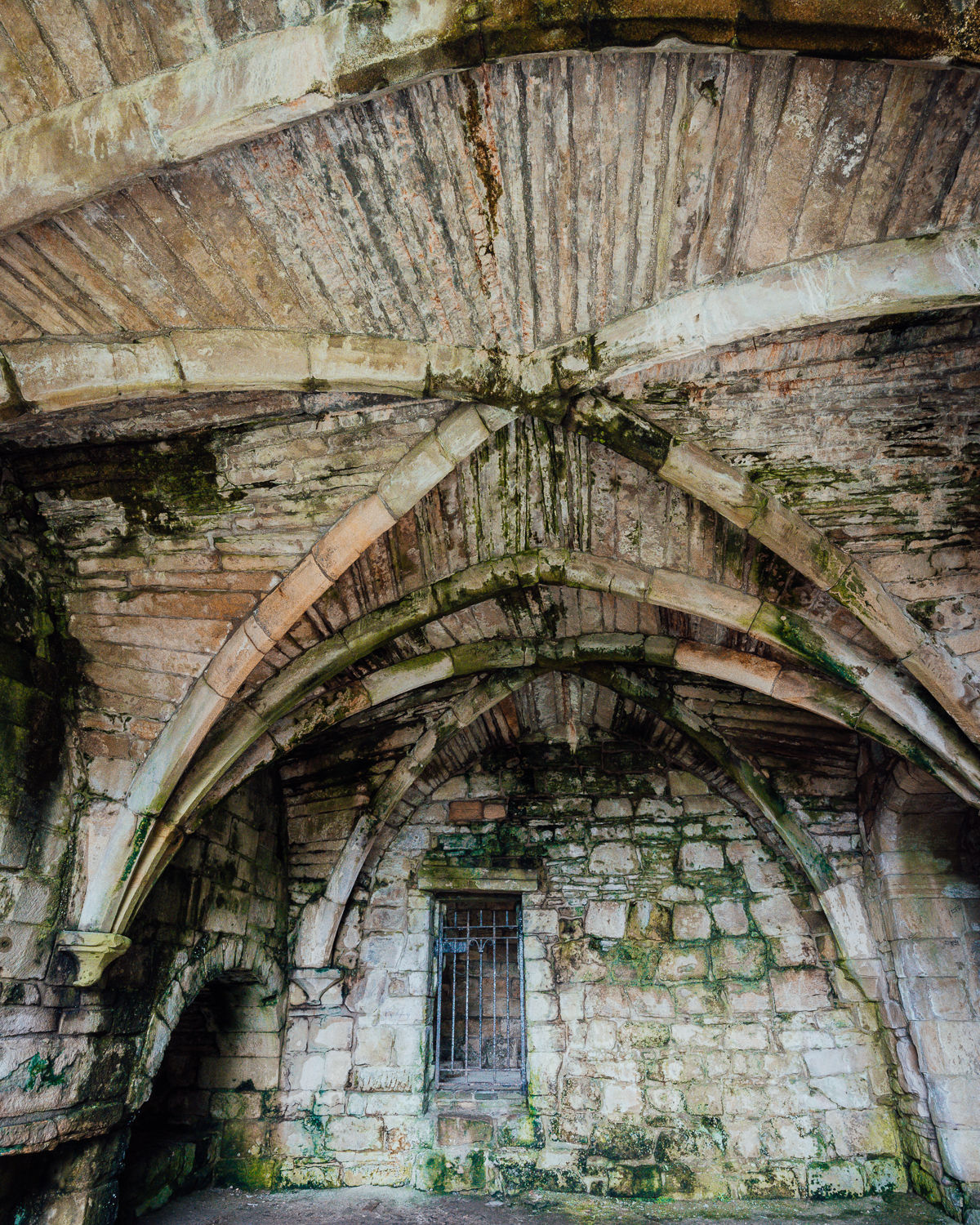 Arched vaulting in a ruined abbey