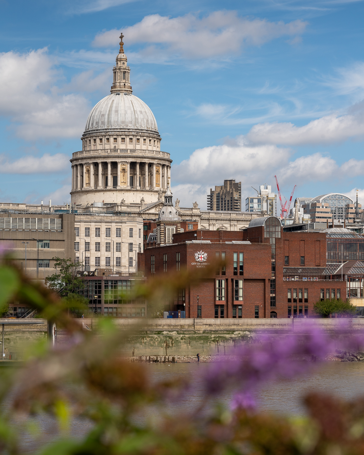 Budhlia and St Paul's